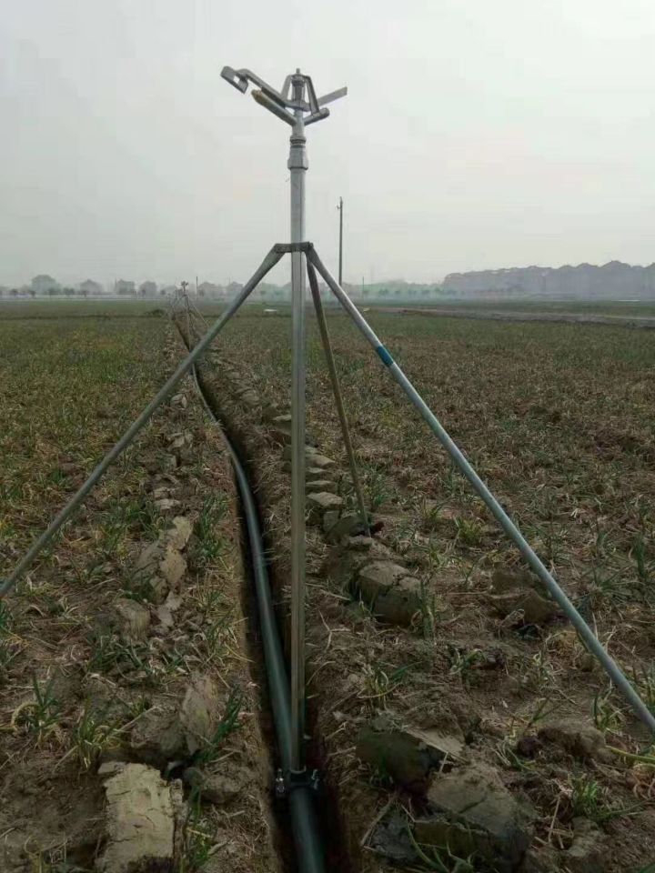 չʾ